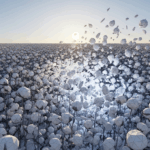 cotton field wire frame disintegrating