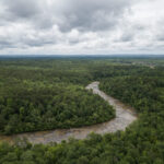 Chattahoochee River pollution