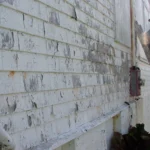 house lead painting