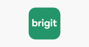 brigit evil corporations logo