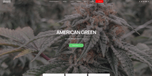 american green evil corporations