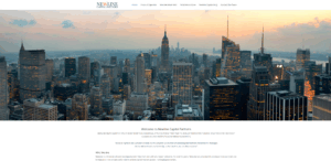 newline capital partners evil corporations