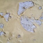 lead paint wallpaper evil corporations peeling