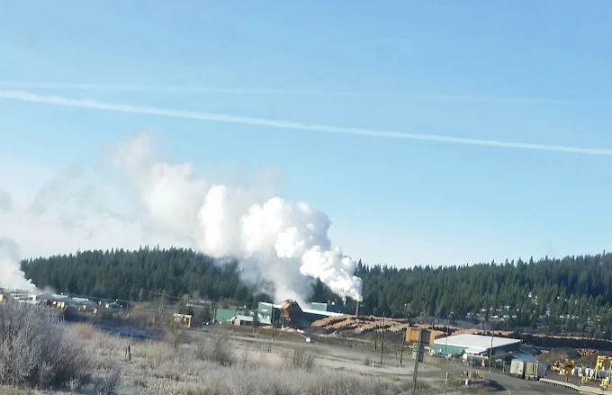 Tamarack Mill Idaho Pollution