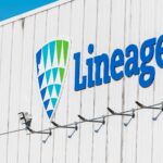 lineage logo evil corporations