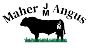 maher angus farming evil corporation