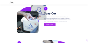 sanity system product sany car