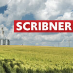 scribner grain nebraska banner image