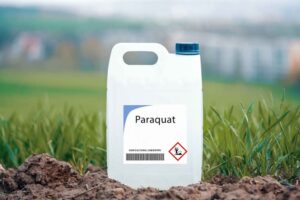 paraquat