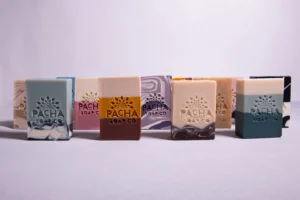 Pacha Soap Co Evil Corporations