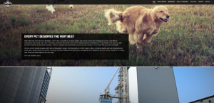 diamond shell kempeter website evil corporations