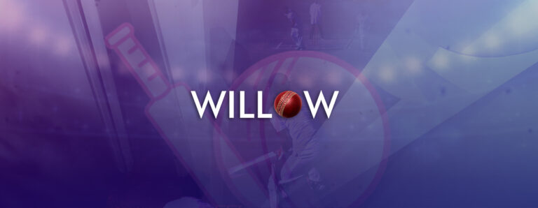 willow tv banner evil corporations