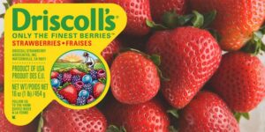 driscoll's strawberries evil corporations